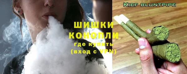 крисы Медвежьегорск