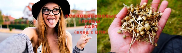 крисы Медвежьегорск