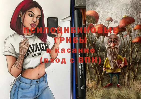 крисы Медвежьегорск