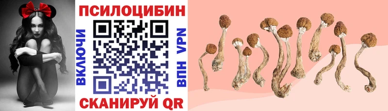 Псилоцибиновые грибы MAGIC MUSHROOMS  где купить наркоту  MEGA как войти  Буй 